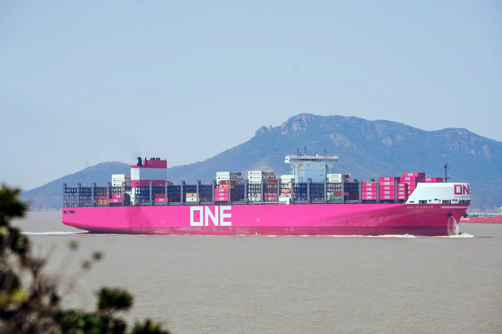 ONESEA Solutions site management